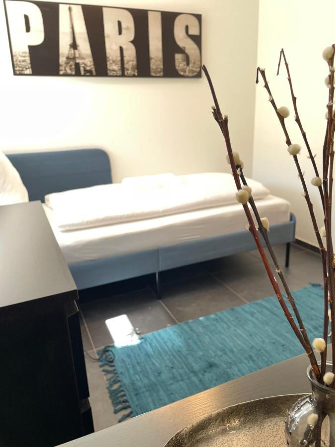 Moderne Stadtwohnung Inkl. Tiefgaragenplatz ブレゲンツ エクステリア 写真